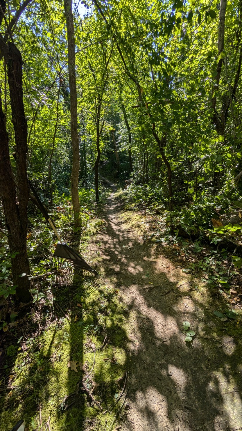 Trail Work 9/28