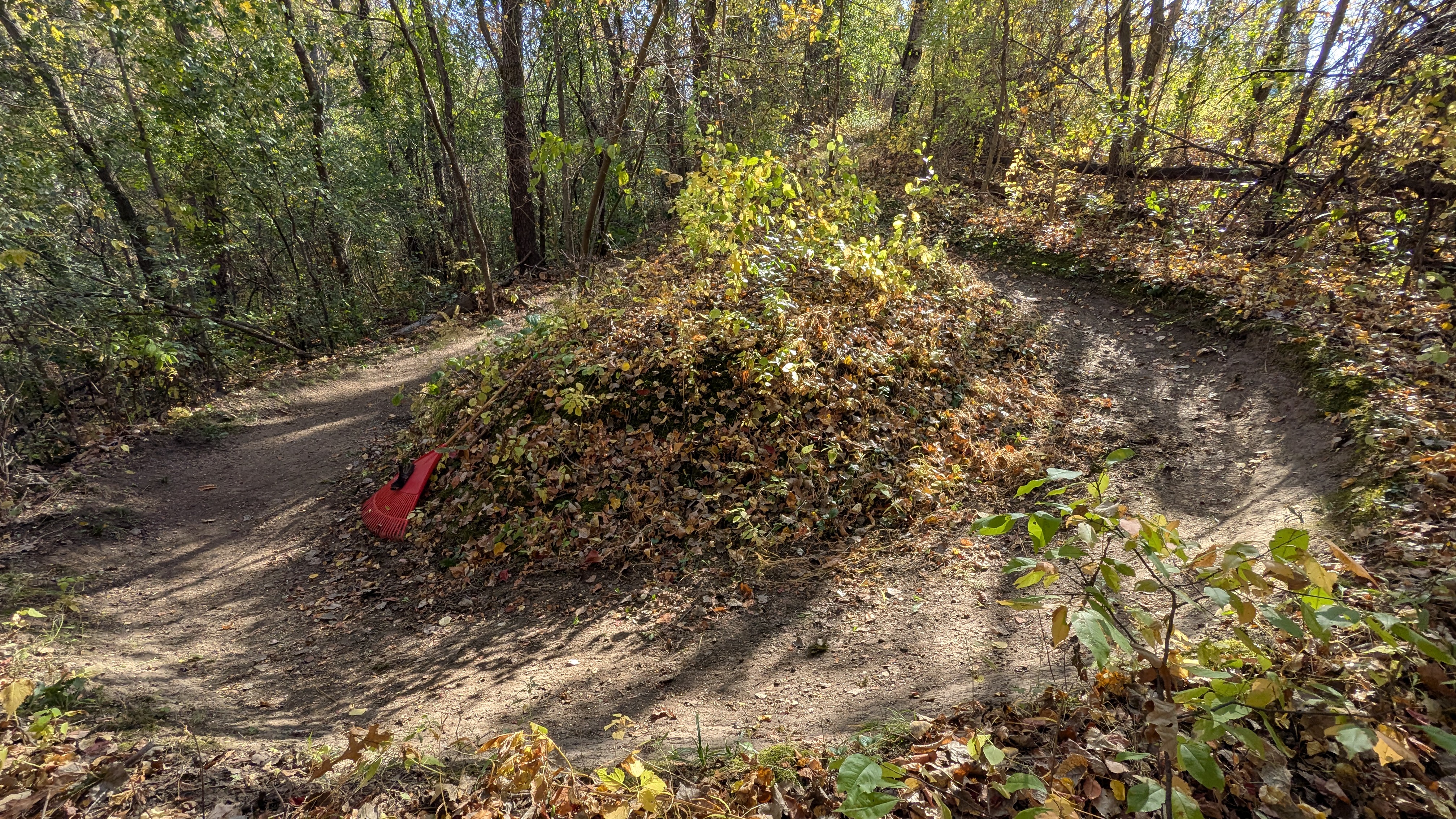 Trail Update 10/24